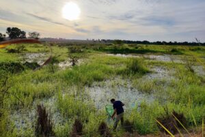 Mudanças climáticas interferem no trabalho de campo de pesquisadores e conservacionistas