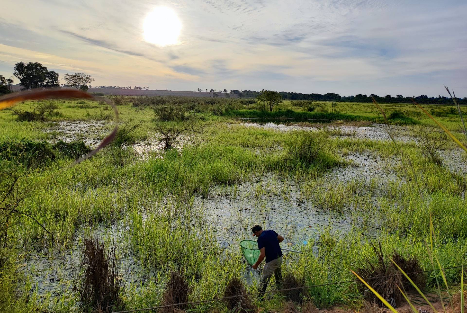 Mudanças climáticas interferem no trabalho de campo de pesquisadores e conservacionistas