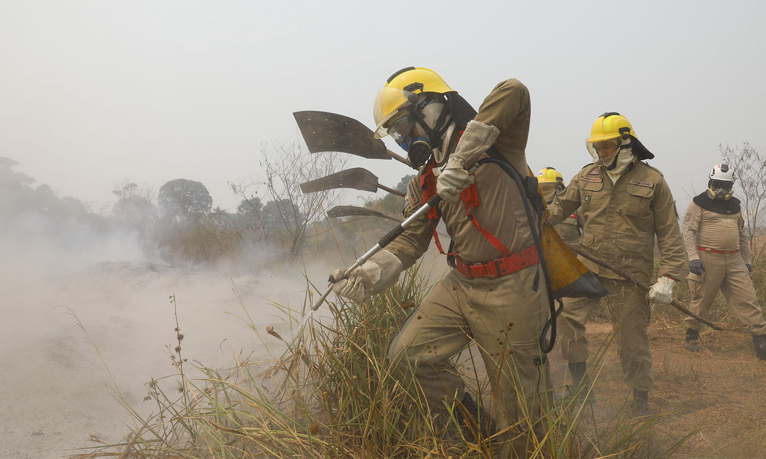 O pior agosto em 14 anos de queimadas e incêndios no Amazonas