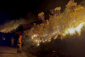 Parques estaduais do RJ fecham as portas para turismo devido aos incêndios