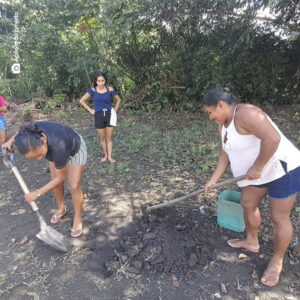 Restauração biocultural ajuda mitigar degradação na Amazônia