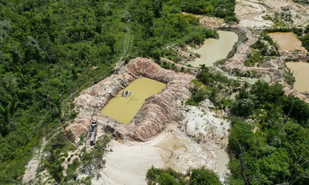 Terra Indígena Kayapó tem mais de 17% de área tomada pelo fogo