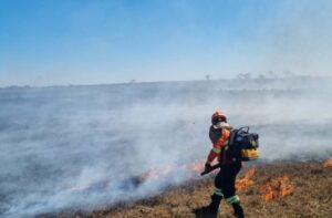 Todos os biomas do Brasil registram focos de incêndios nesta sexta – Sociedade – CartaCapital