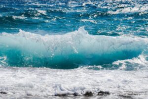 A conservação ambiental também é azul