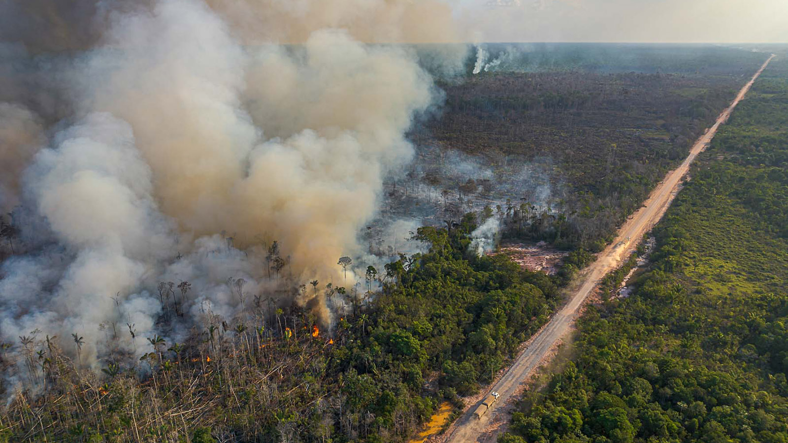 A corrida para aprovar o fim da floresta amazônica: o projeto da rodovia BR-319 precisa de um novo EIA