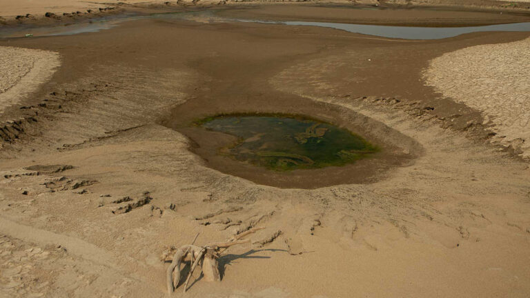 Além da COP28: o Brasil deve agir para enfrentar a crise global do clima e da biodiversidade