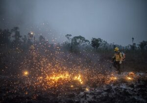 Amazônia foi o bioma que mais queimou nos primeiros 8 meses de 2024