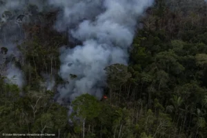 Área queimada da Amazônia aumentou 196% em setembro e supera 11 milhões de hectares no ano