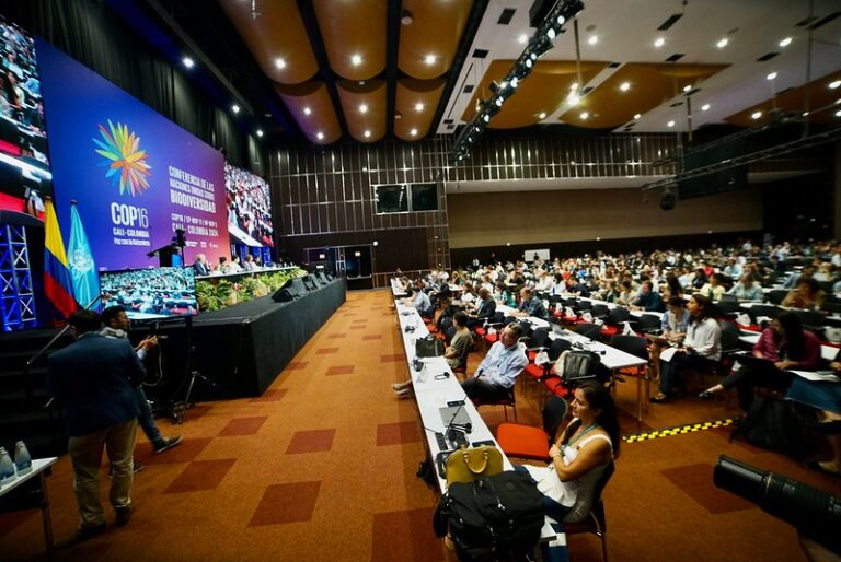 COP-16, na Colômbia, pouco avança em relação às metas do evento, "Paz com a natureza"