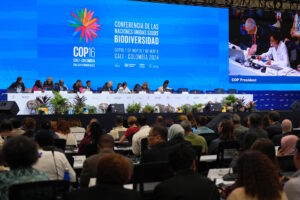 COP16 ainda não viu a cor do dinheiro para proteger a biodiversidade mundial