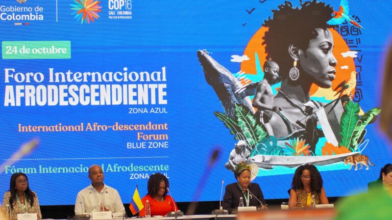 COP16 pode reconhecer papel dos afrodescendentes na conservação