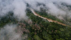 Carbono: nova batalha dos indígenas