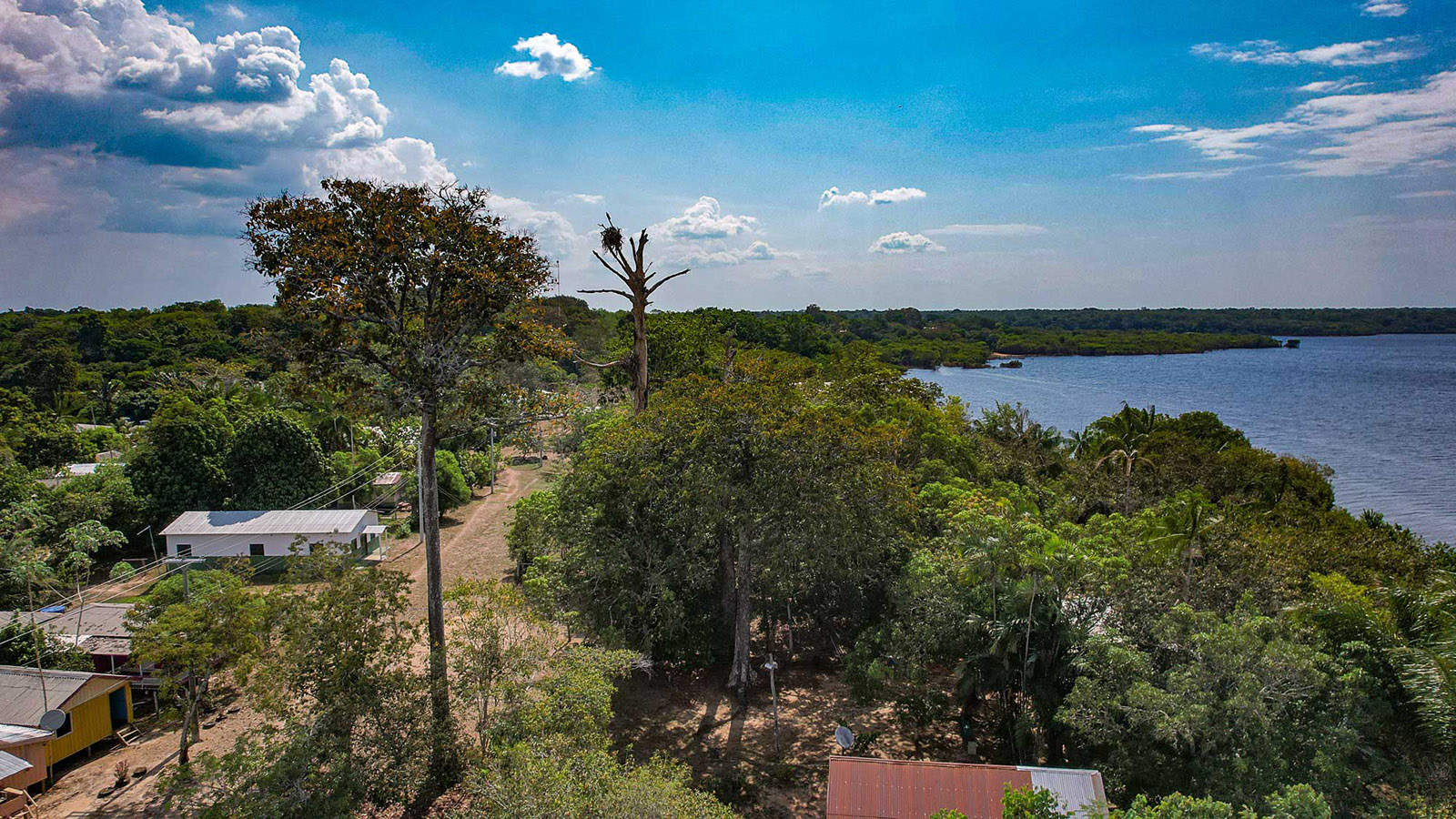 Carbono: vozes excluídas – Amazônia Real