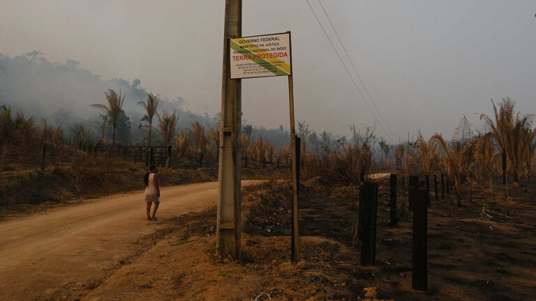 Cercados pela Ferrogrão - Amazônia Real