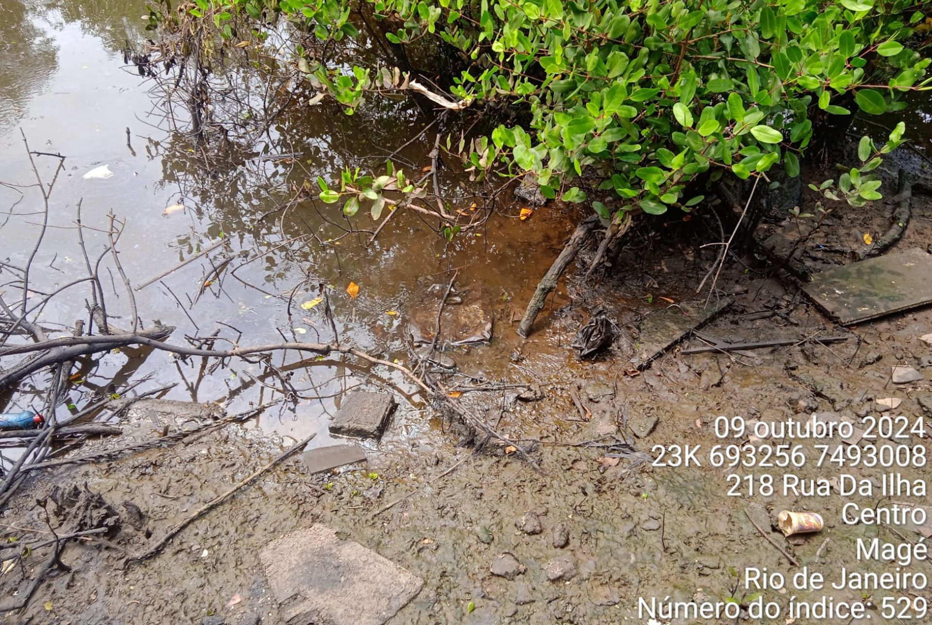 Contaminação causada por acidente entre caminhões em Magé (RJ) afeta biodiversidade e pescadores