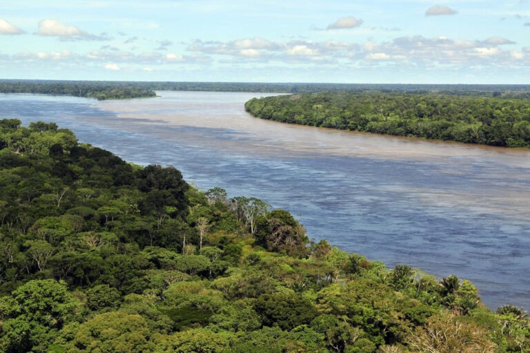 Doações minguadas de países mantêm distantes as metas de financiamento na COP16