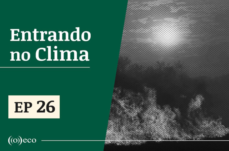 Entrando no Clima #26: Agravamento de conflitos armados enfraquece luta climática