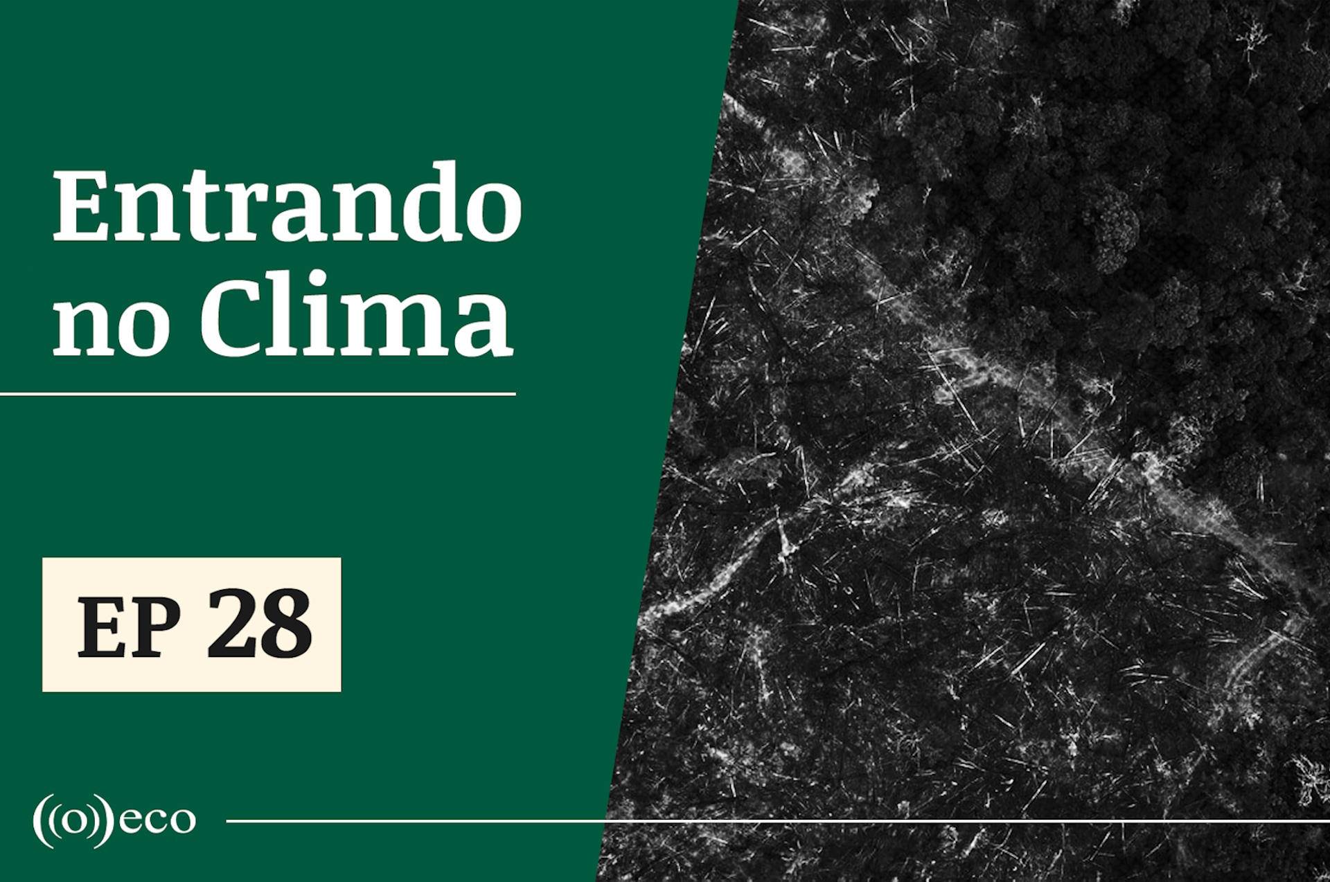 Entrando no Clima #28 – Crises ambientais globais precisam ser enfrentadas de forma conjunta