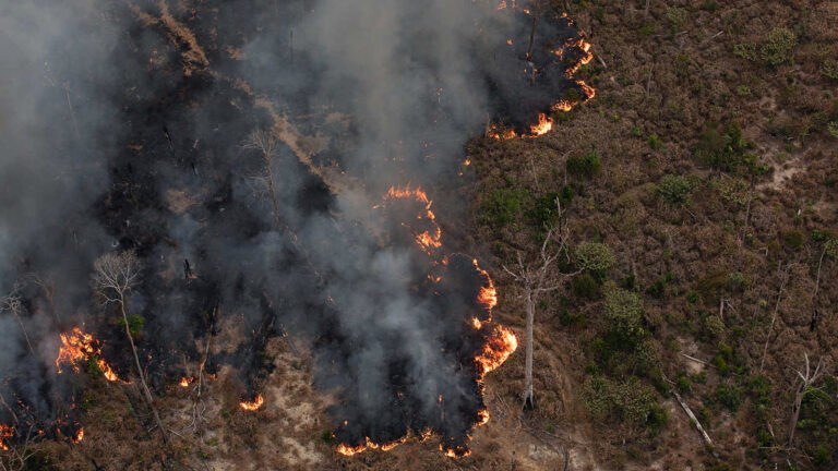 Fogo na Amazônia: impactos ambientais e sociais: 2 - Fogo e desmatamento