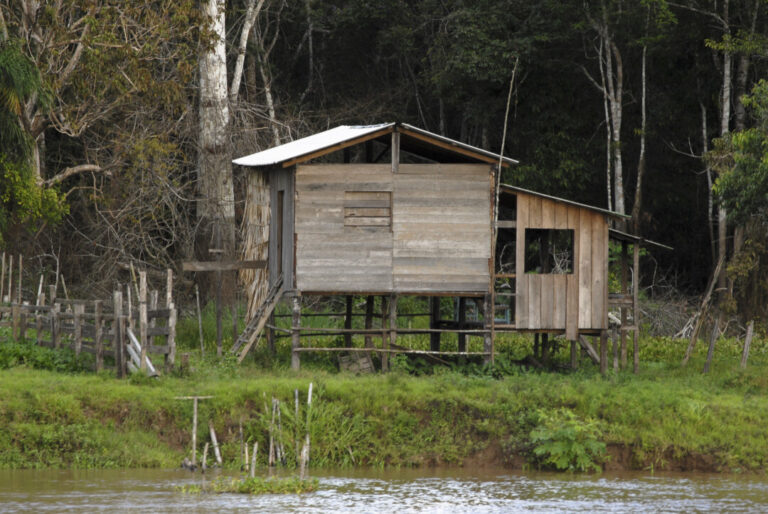 Levantamento geofísico orienta busca por artefatos na Amazônia