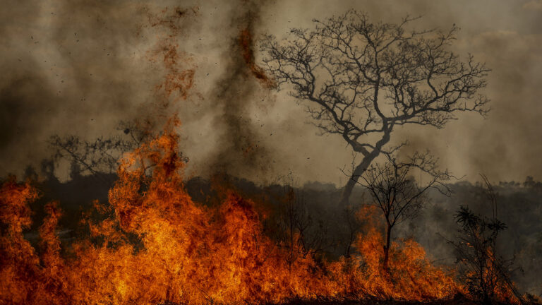 O cerrado brasileiro não pode ser uma zona de sacrifício para a Amazônia