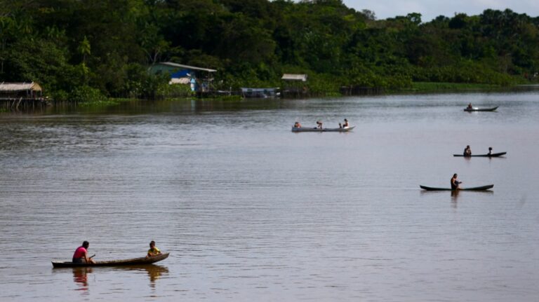 Pesquisa aponta contaminação de peixes em rios amazônicos por microplásticos