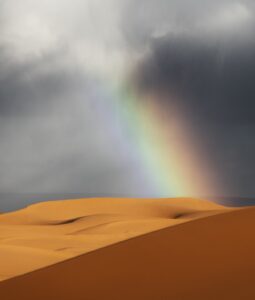 Saara inundado! Chuvas fortes caem no deserto e provocam cheias raríssimas