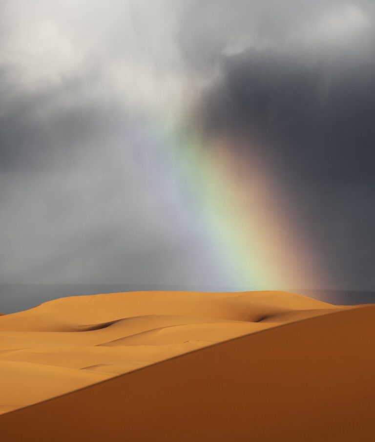 Saara inundado! Chuvas fortes caem no deserto e provocam cheias raríssimas