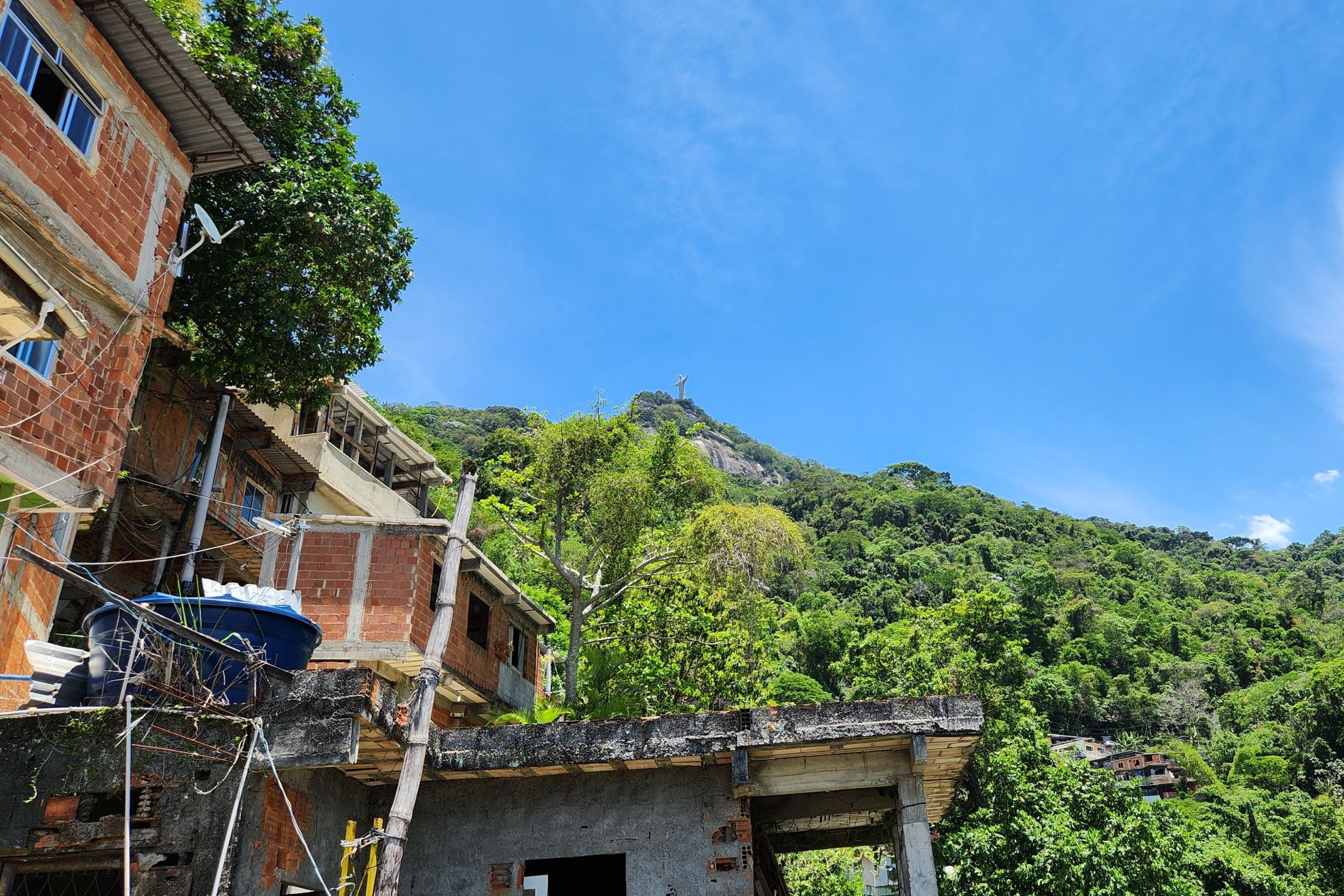 A Floresta vista da favela