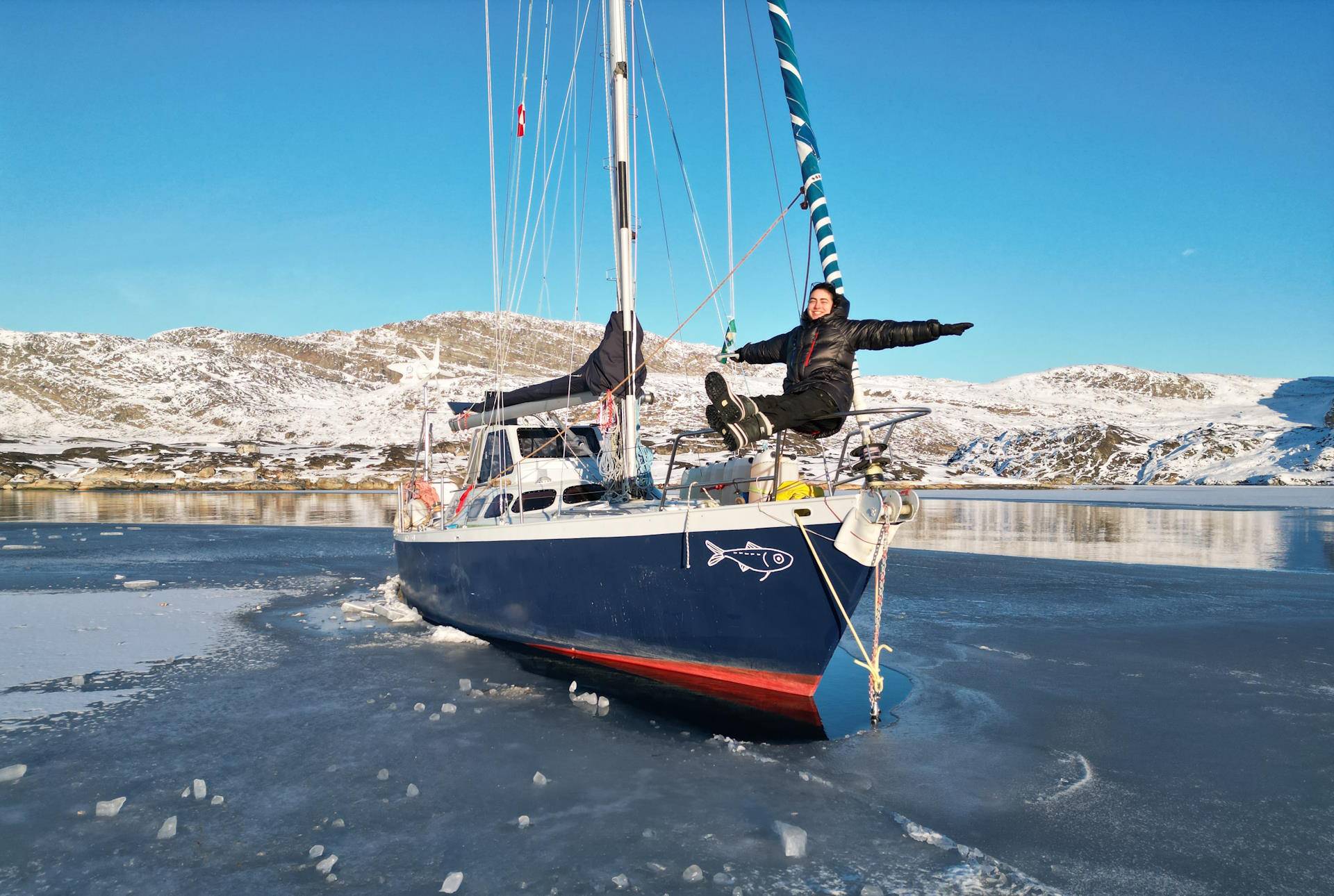 A solitária invernagem no Ártico