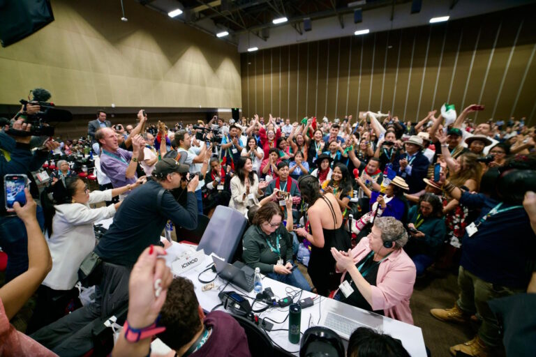 COP16 encerra com avanços políticos e sem financiamento para conservação