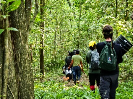 Cientistas avaliam como répteis e anfíbios lidam com mudança climática em ilha de Roraima