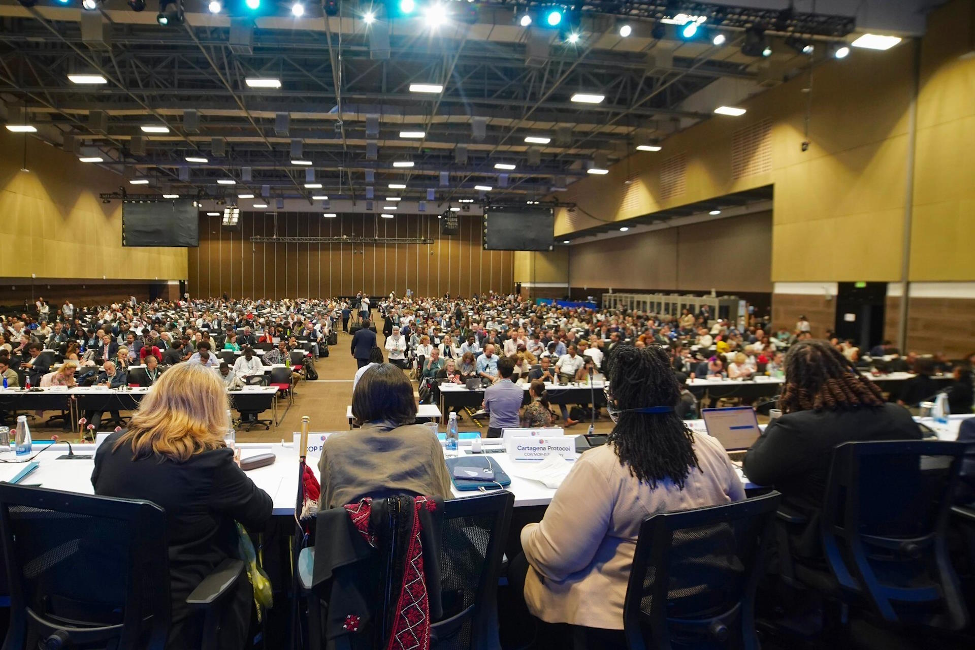 Decisões adiadas da COP16 da biodiversidade serão debatidas no fim de fevereiro, em Roma