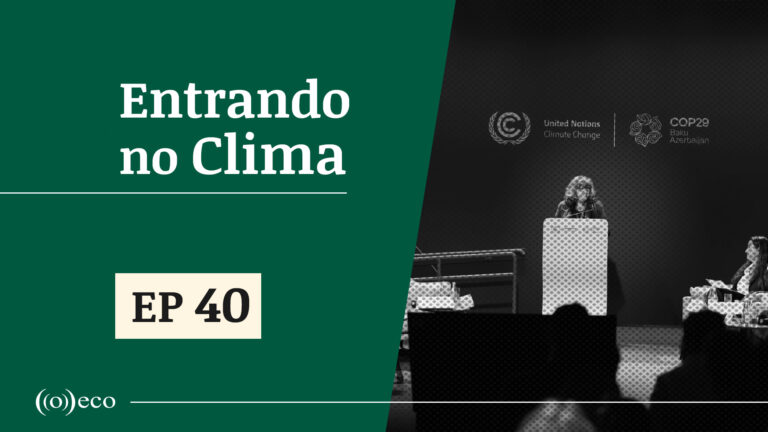 Entrando no Clima#40 - Florestas como forças de estabilização climática