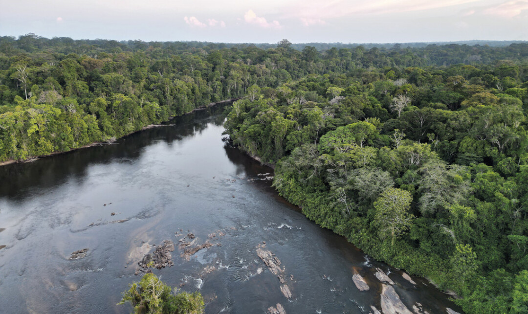 Estudo internacional mostra que relação da Amazônia com a seca não é uniforme