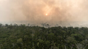 Fogo na Amazônia: impactos ambientais e sociais: 4 - Fogo como ameaça à floresta amazônica