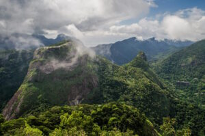 Fotógrafo lança livro com imagens inéditas do Parque Nacional da Tijuca