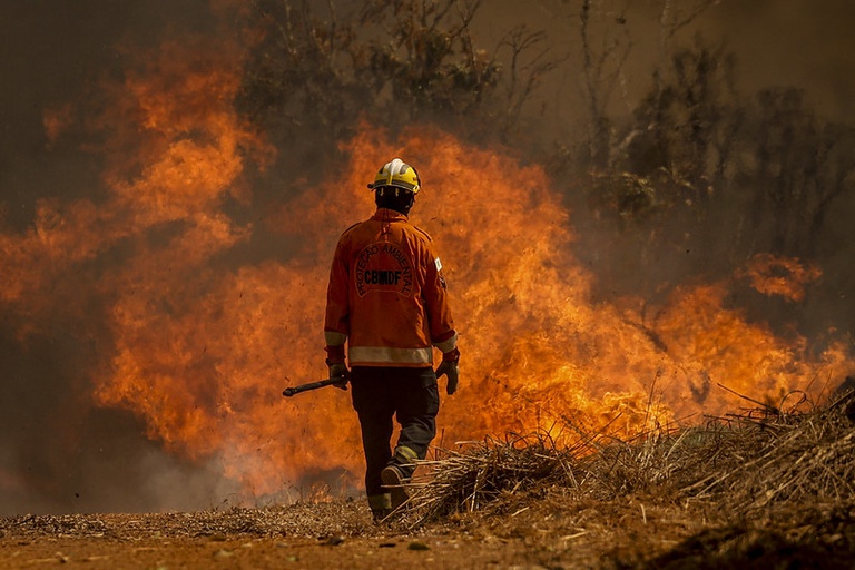 MPF afirma que Pará faz propaganda “irresponsável” de ações contra queimadas