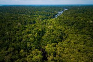 Mirando o desmatamento zero, Brasil avança em novo fundo de preservação