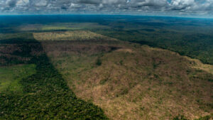 PF desarticula esquema de corrupção e tortura no sul do Amazonas