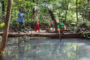 Porto Grande, no Amapá, obtém reconhecimento federal de situação de emergência devido a infecções em peixes