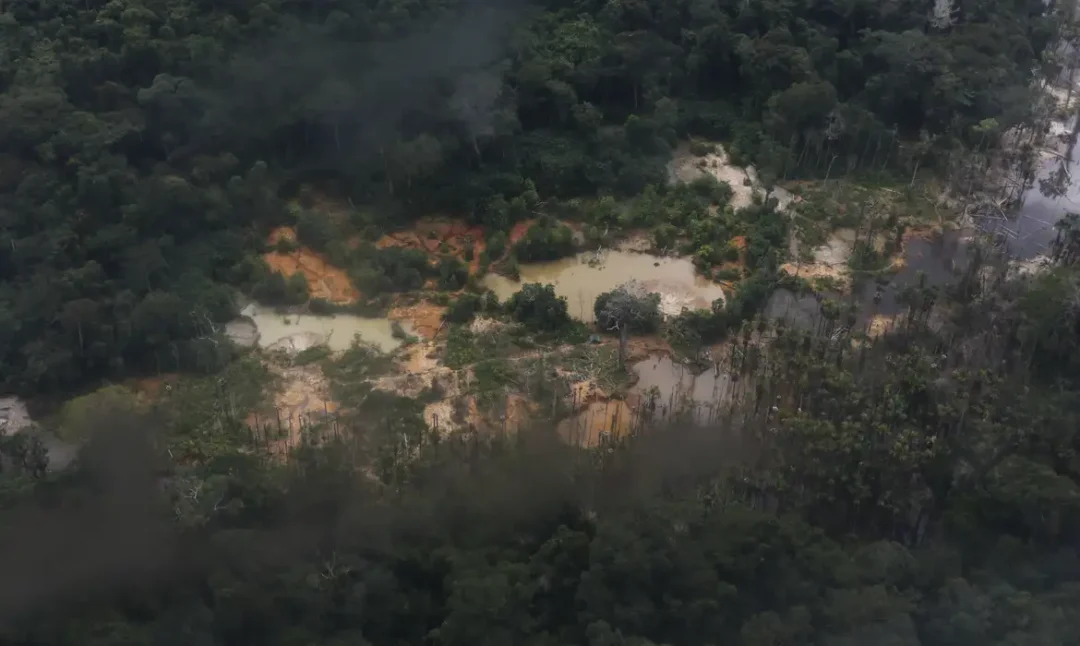 Rios na Amazônia tem risco alto de contaminação por mercúrio