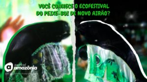 Você conhece o Ecofestival do Peixe-boi de Novo Airão?