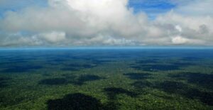 estudo alerta para risco de colapso da Amazônia