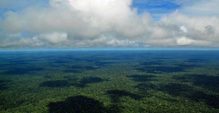 estudo alerta para risco de colapso da Amazônia