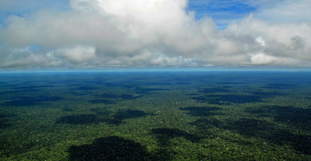 estudo alerta para risco de colapso da Amazônia