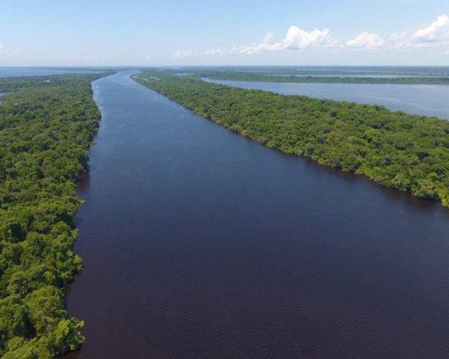 12 recordes únicos e inusitados marcados nos estados da Amazônia Legal