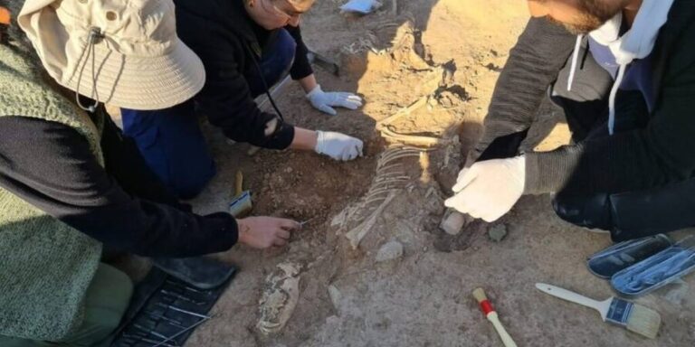 Achado de 700 a.C. desvenda antigos rituais de enterro de cães