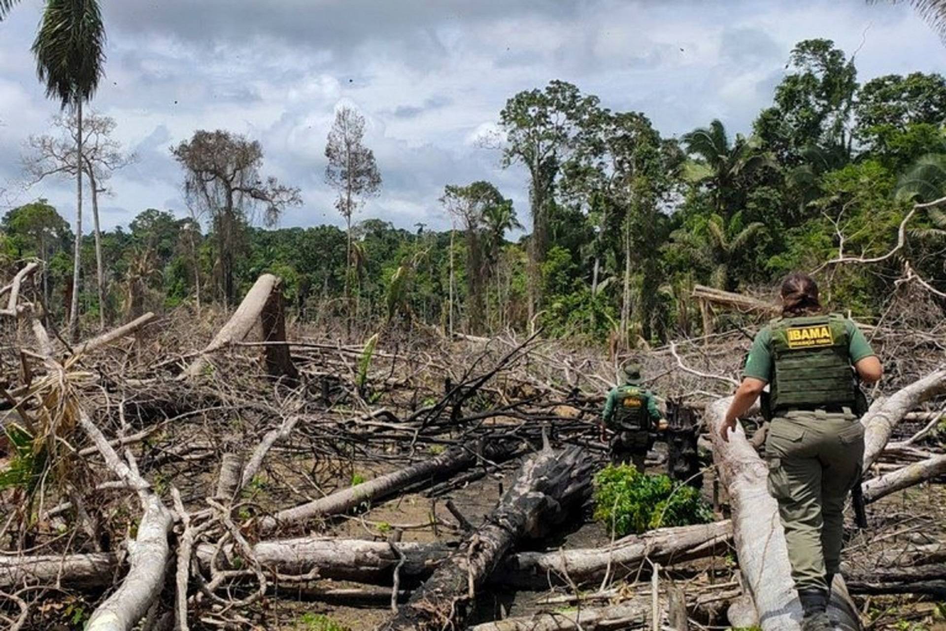 Amazônia tem 6,5 mil km² sob risco de desmatamento em 2025, mostra análise do Imazon