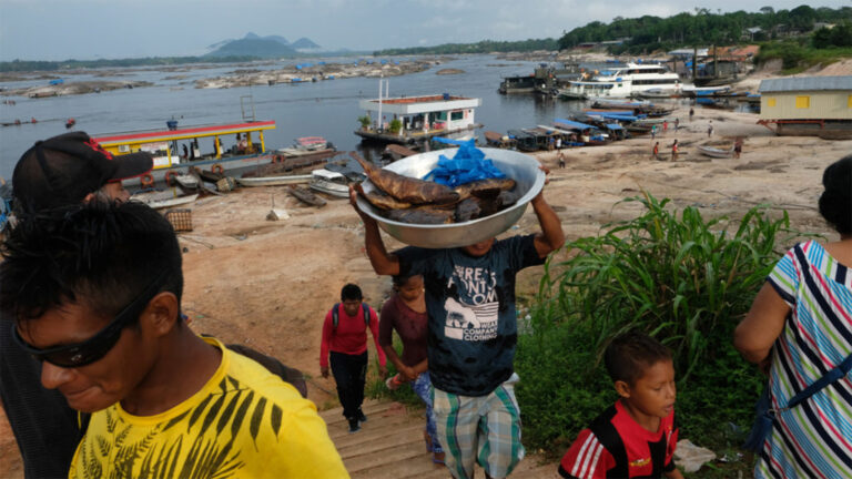 Censo 2022: êxodo ou luta pela sobrevivência dos indígenas?